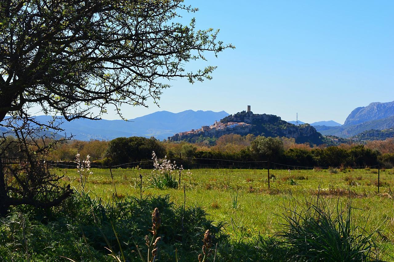 Agriturismo Orvile Posada  Bagian luar foto